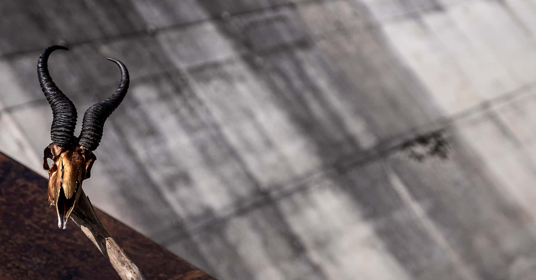 home-header-2